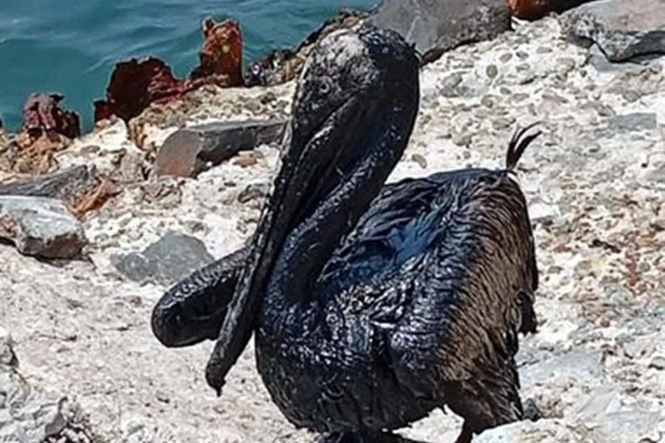 Admite Pemex nuevo derrame en Dos Bocas