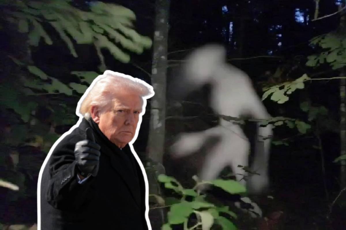 Extraterrestres al descubierto: EE.UU. lanza portal oficial para informar sobre vida alienígena